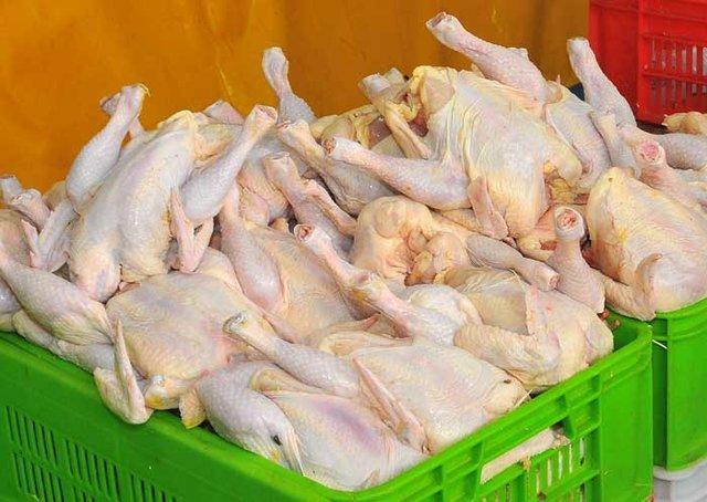کم محلی زنجانی ها به مرغ با کاهش مصرف