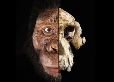 چهره قدیمی ترین انسان های اولیه رونمایی شد