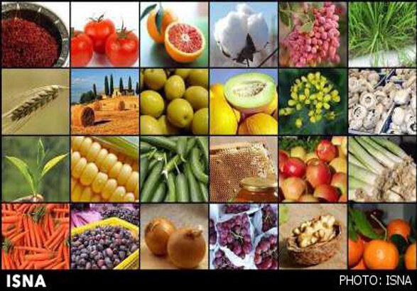 تهدید یخ زدگی دیوار به دیوار باغات و محصولات کشاورزی تهدید یخ زدگی دیوار به دیوار باغات و محصولات کشاورزی
