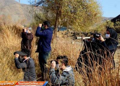 برگزاری تور پرنده نگری در شهرستان لنجان