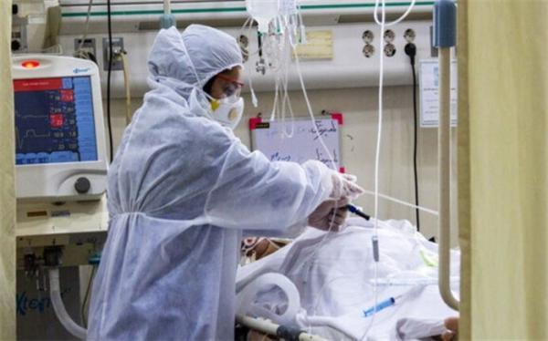 شناسایی بیش از 7 هزار بیمار جدید کرونایی؛ 109 تن دیگر قربانی شناسایی بیش از 7 هزار بیمار تازه کرونایی؛ 109 تن دیگر قربانی شدند