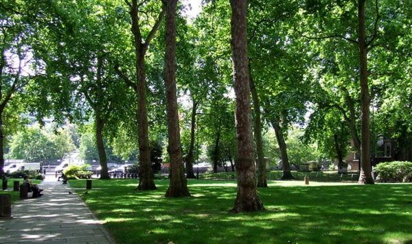 تصویب یک فوریت لایحه اصلاحیه اخذ عوارض حفظ فضای سبز تهران