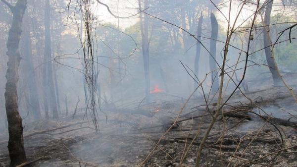 حدود 32 هزار متر مربع از جنگل های مازندران در آتش سوخت