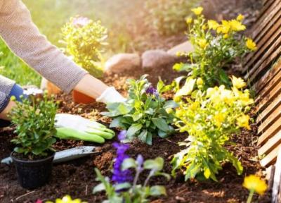 7 نکته مهم برای آماده سازی گیاهان برای زمستان