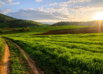 فیروزکوه، مقصدی خنک برای سفرهای تابستانی