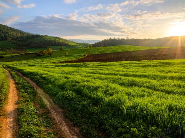 فیروزکوه، مقصدی خنک برای سفرهای تابستانی