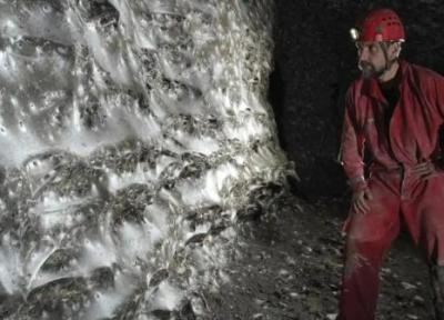 بزرگ ترین تار عنکبوت دنیا در غاری میان آلبانی و یونان کشف شد